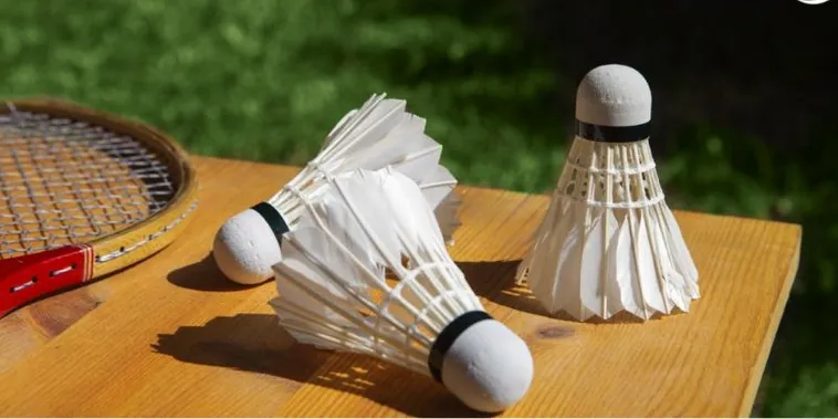 Bí Kíp Soi Kèo Cá Cược Cầu Lông 888B Thắng Lớn Mỗi Ngày 2 Bí Kíp Soi Kèo Cá Cược Cầu Lông 888B Thắng Lớn Mỗi Ngày